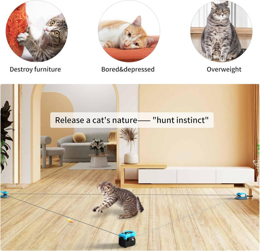 Running Cat Toy